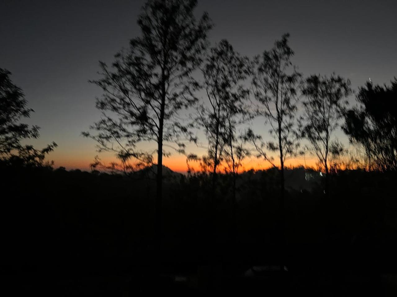 The Clover Resorts Yercaud Εξωτερικό φωτογραφία